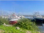 resIMG_20230706_161100_IMG_0581.jpg